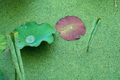 FPS新作《Neon White》6月16日发售 新预告片赏